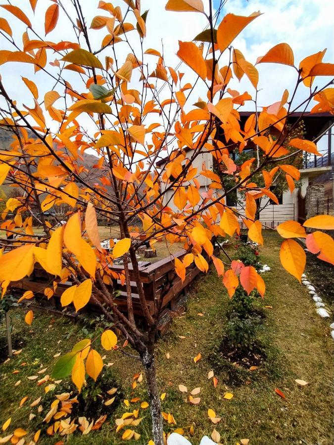 ---Allegria House--- Kazbegi Kültér fotó