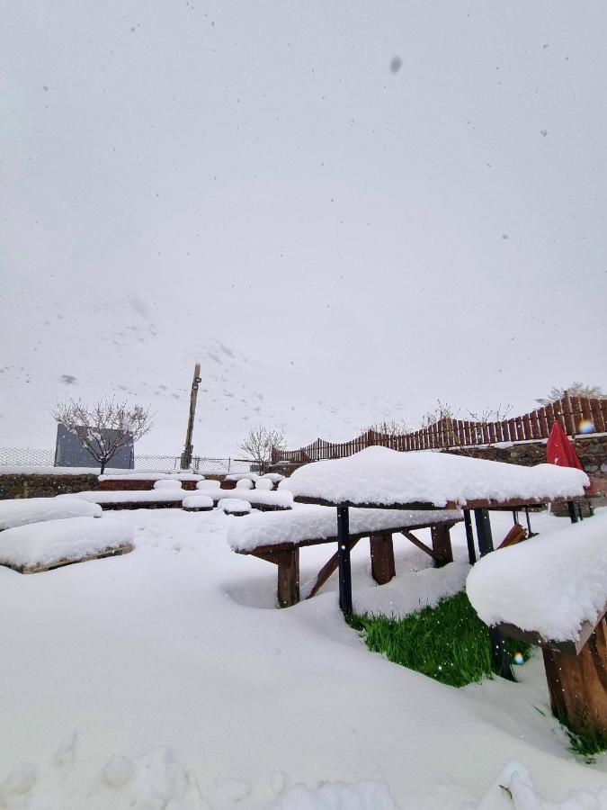 ---Allegria House--- Kazbegi Kültér fotó