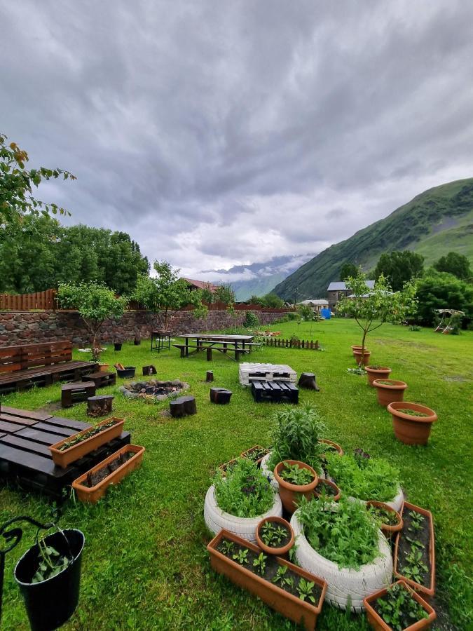 ---Allegria House--- Kazbegi Kültér fotó