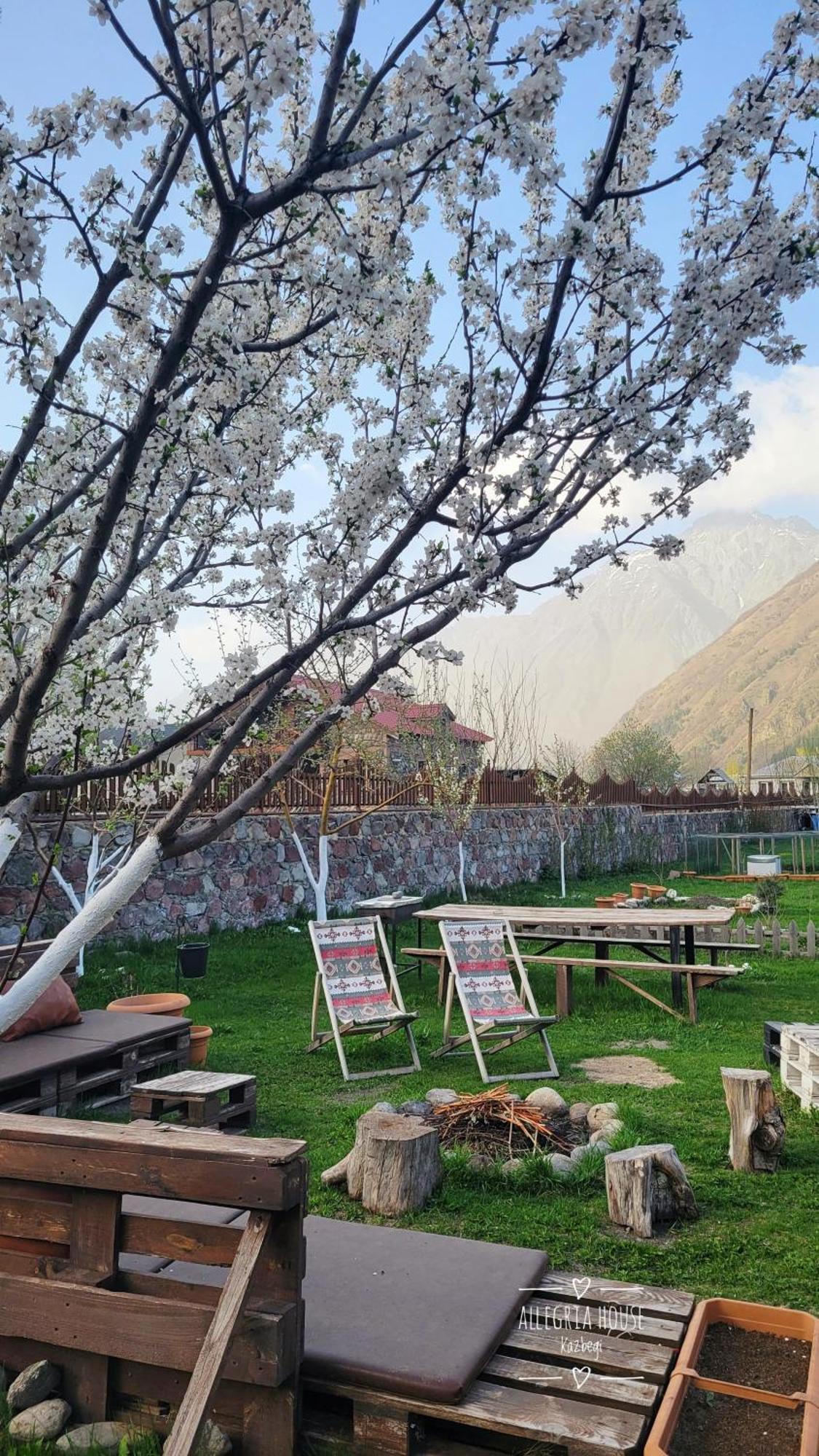 ---Allegria House--- Kazbegi Kültér fotó
