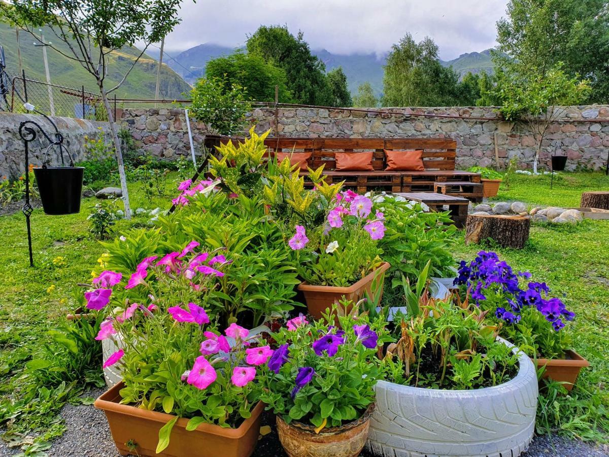 ---Allegria House--- Kazbegi Kültér fotó